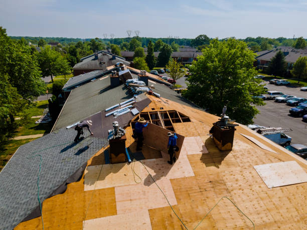 Best Storm Damage Roof Repair  in Centrevle, IL