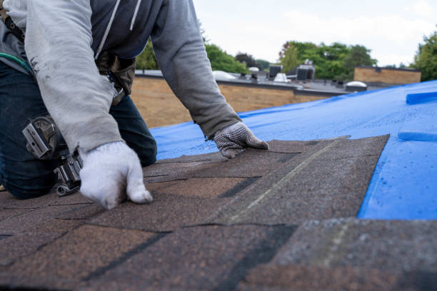 Professional Roofing Contractor in Centreville, IL